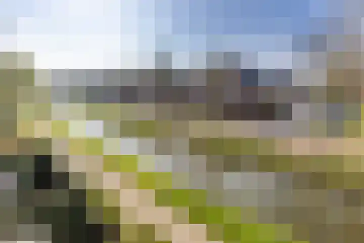 Smeltwater 10 Houten thumbnail 47