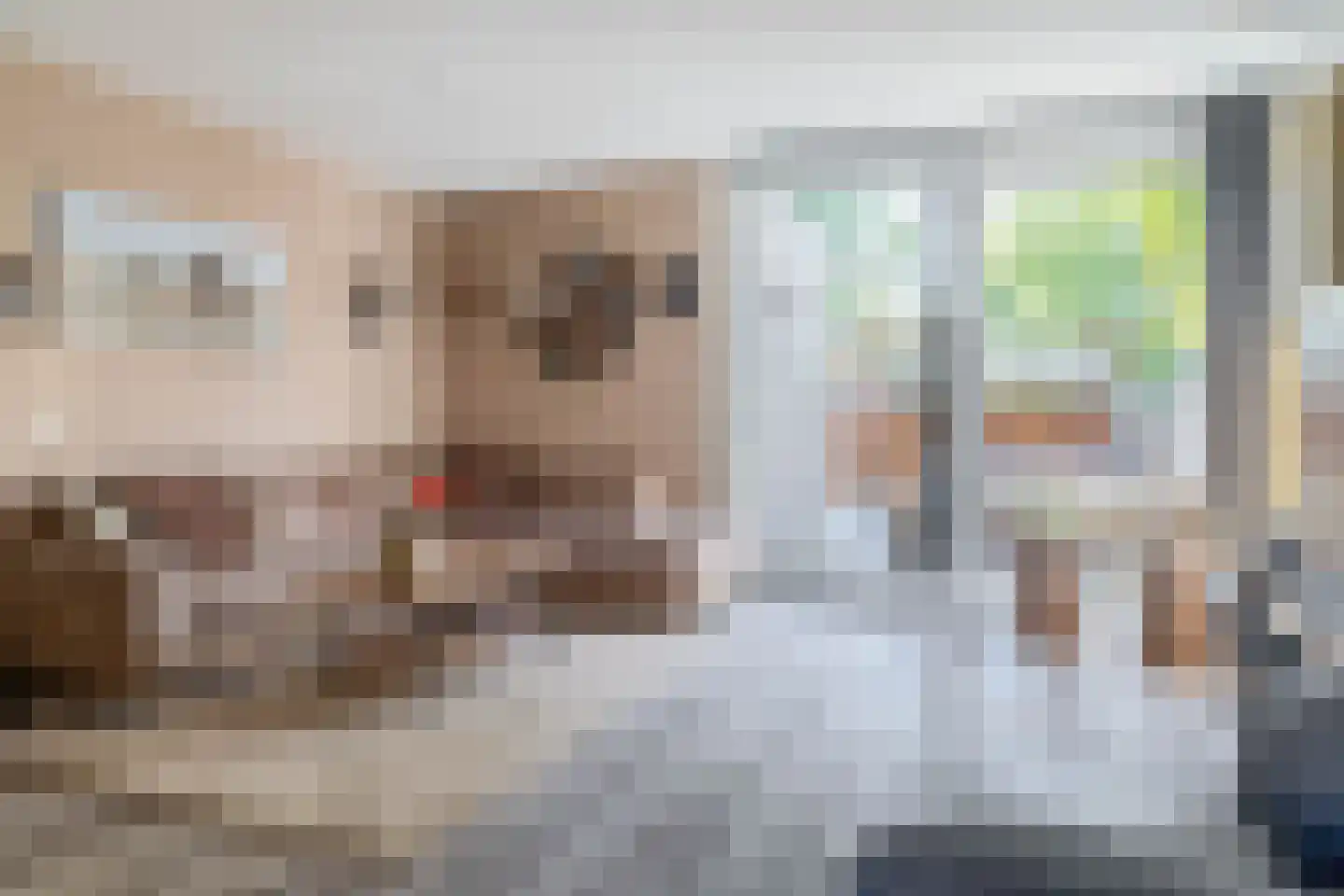 Smerenburg 47 Krimpen aan de Lek thumbnail 13