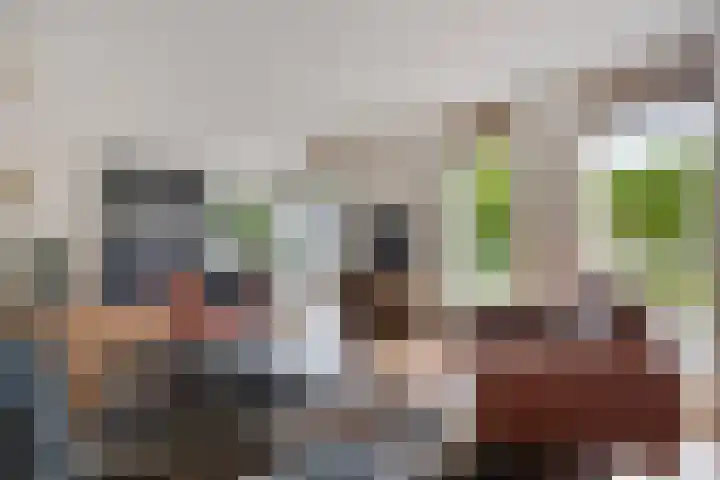 Smetanadreef 35 Veenendaal thumbnail 17