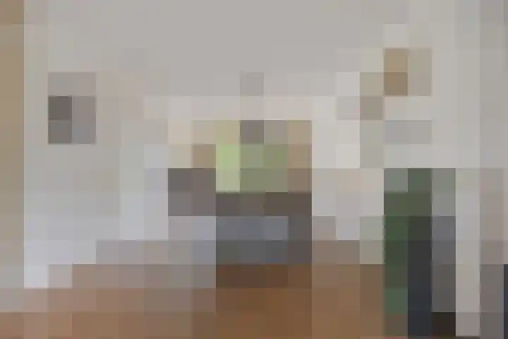 Smetanadreef 35 Veenendaal thumbnail 18