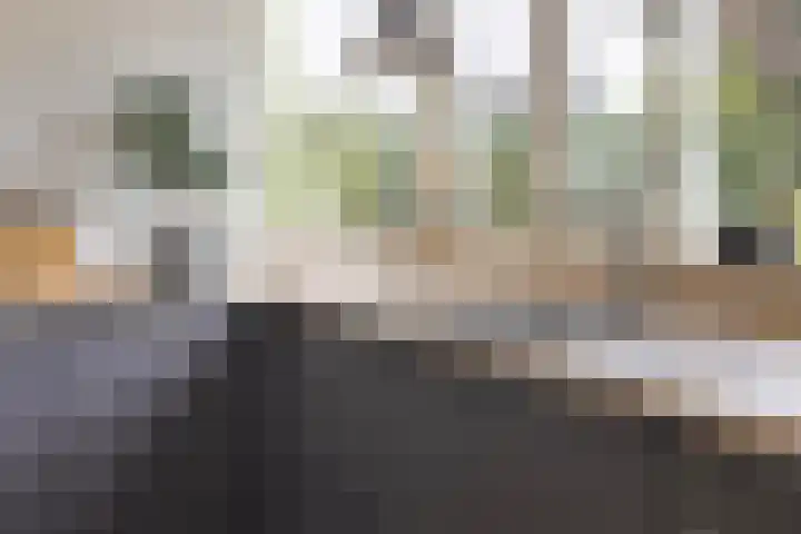 Smetanadreef 35 Veenendaal thumbnail 20