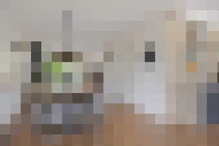 Smetanadreef 35 Veenendaal thumbnail 22