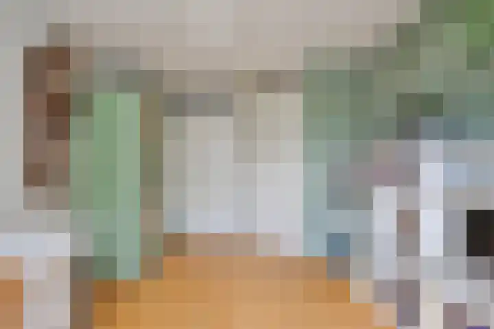 Smetanadreef 35 Veenendaal thumbnail 24