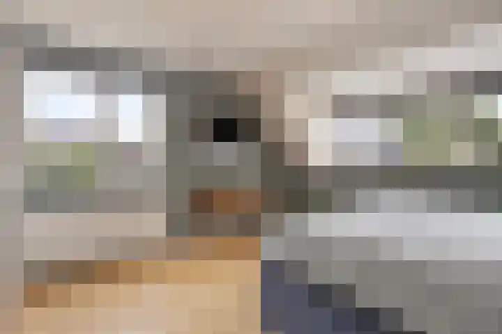 Smetanadreef 35 Veenendaal thumbnail 28
