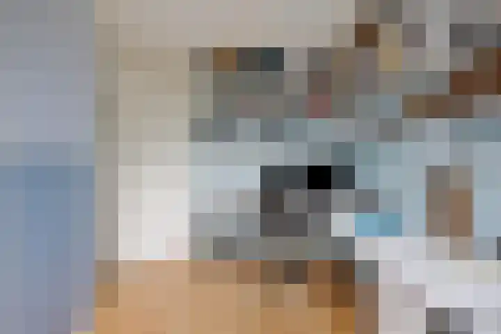 Smetanadreef 35 Veenendaal thumbnail 30