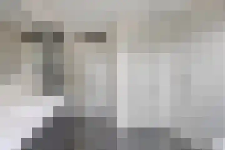 Smetanadreef 35 Veenendaal thumbnail 32