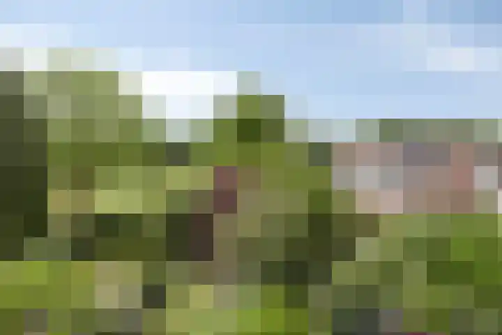 Smetanadreef 35 Veenendaal thumbnail 40