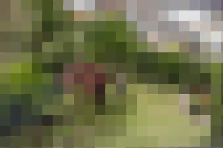 Smetanadreef 35 Veenendaal thumbnail 41