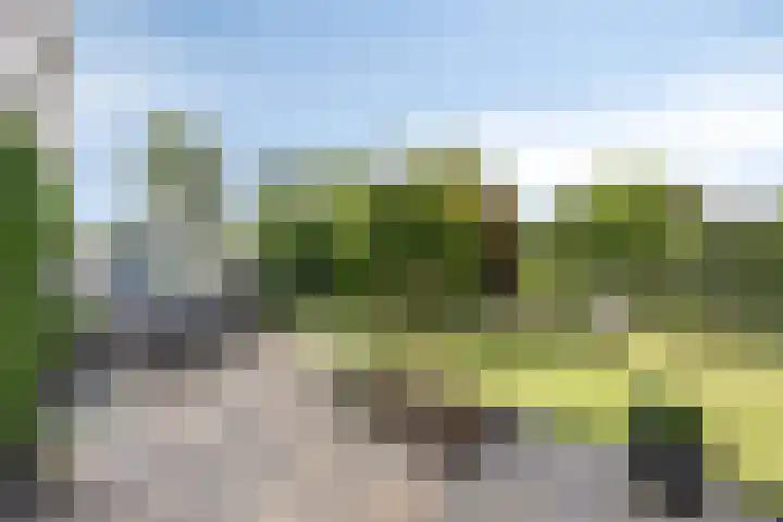 Smetanadreef 35 Veenendaal thumbnail 44