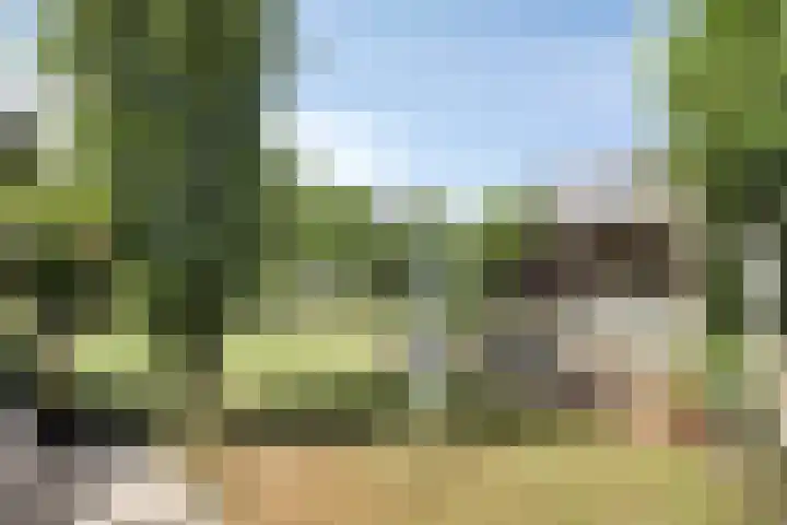 Smetanadreef 35 Veenendaal thumbnail 45