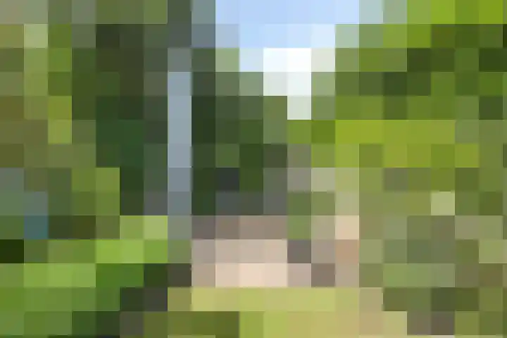 Smetanadreef 35 Veenendaal thumbnail 46