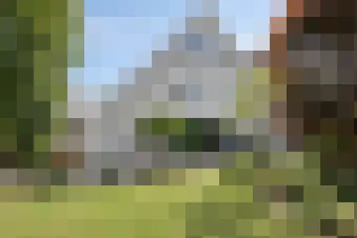 Smetanadreef 35 Veenendaal thumbnail 47