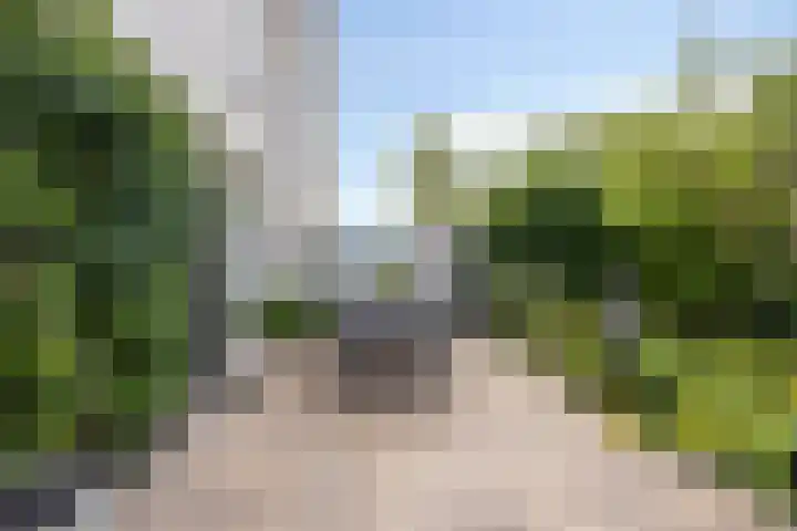 Smetanadreef 35 Veenendaal thumbnail 48