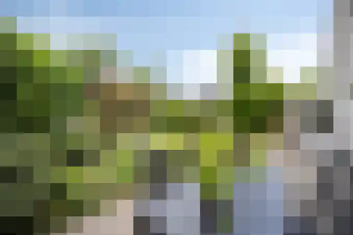 Smetanadreef 35 Veenendaal thumbnail 49
