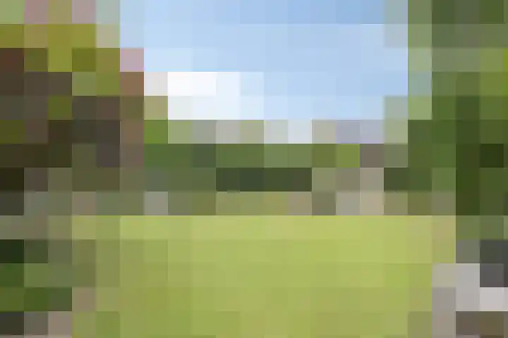 Smetanadreef 35 Veenendaal thumbnail 50