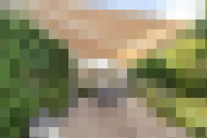 Smetanadreef 35 Veenendaal thumbnail 51