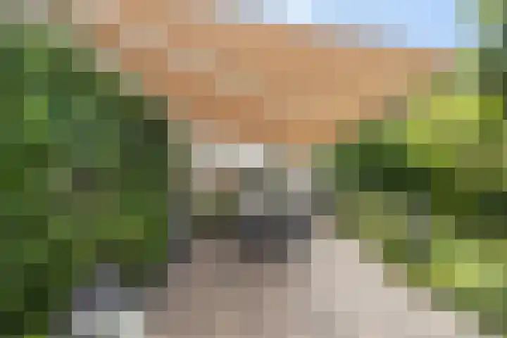 Smetanadreef 35 Veenendaal thumbnail 52