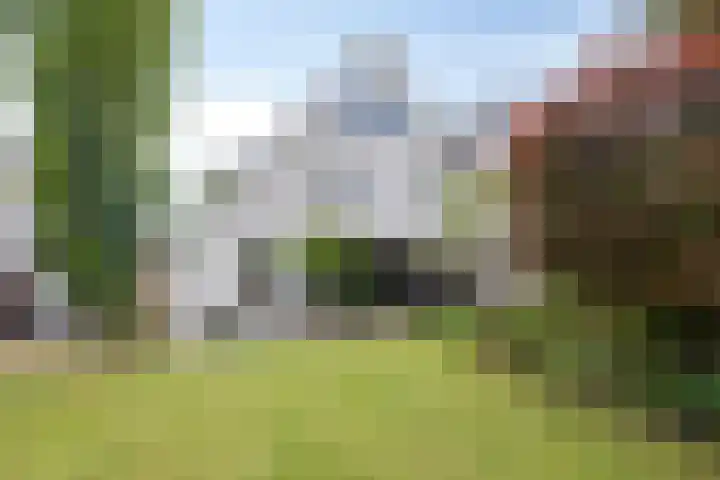 Smetanadreef 35 Veenendaal thumbnail 53