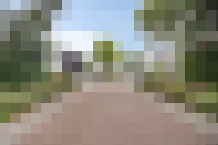 Smetanadreef 35 Veenendaal thumbnail 55