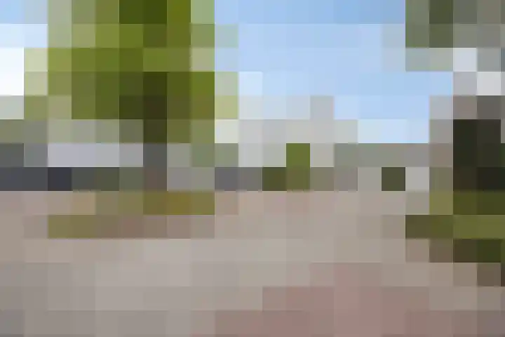 Smetanadreef 35 Veenendaal thumbnail 56