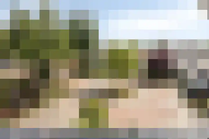 Smetanadreef 35 Veenendaal thumbnail 57