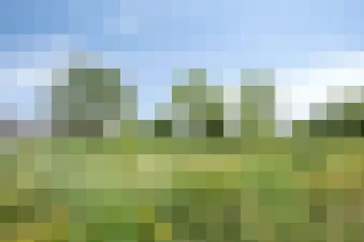 Smetanadreef 35 Veenendaal thumbnail 58
