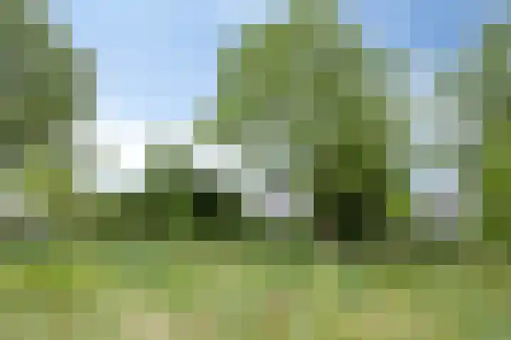 Smetanadreef 35 Veenendaal thumbnail 59