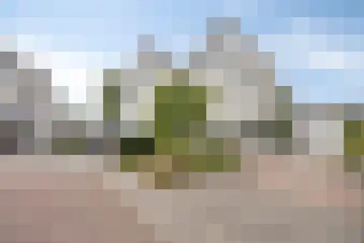 Smetanadreef 35 Veenendaal thumbnail 6