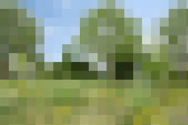 Smetanadreef 35 Veenendaal thumbnail 60