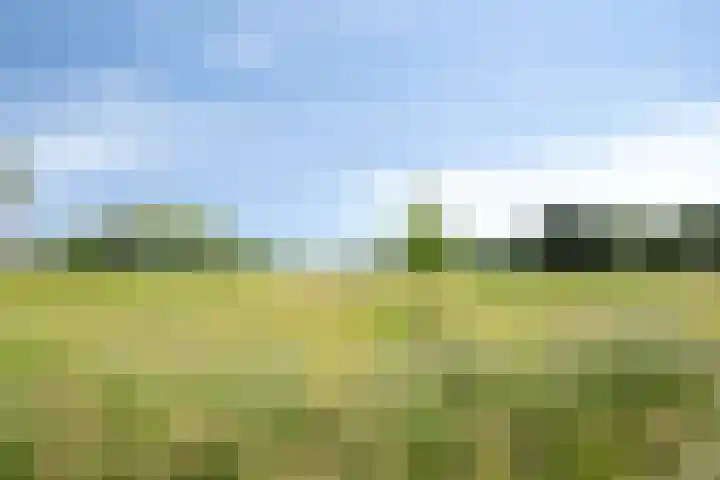 Smetanadreef 35 Veenendaal thumbnail 61