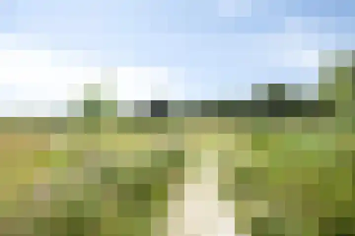Smetanadreef 35 Veenendaal thumbnail 62