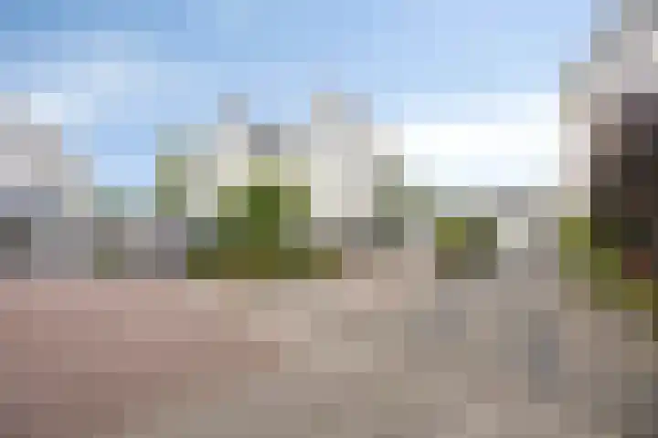 Smetanadreef 35 Veenendaal thumbnail 64