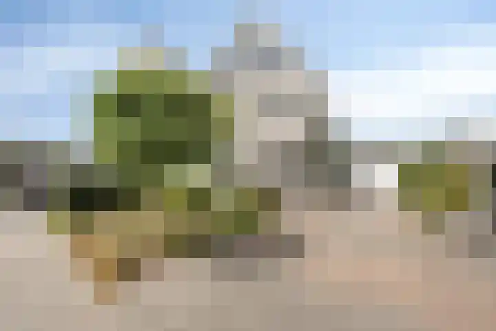 Smetanadreef 35 Veenendaal thumbnail 70