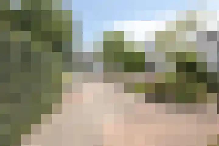 Smetanadreef 35 Veenendaal thumbnail 8