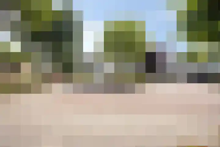 Smetanadreef 35 Veenendaal thumbnail 9