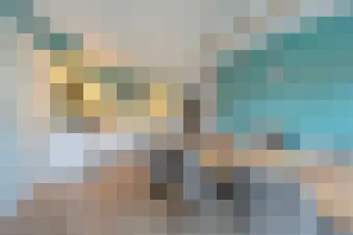 Smetanahof 12 Dedemsvaart thumbnail 15