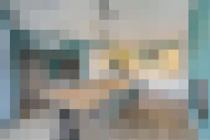 Smetanahof 12 Dedemsvaart thumbnail 16