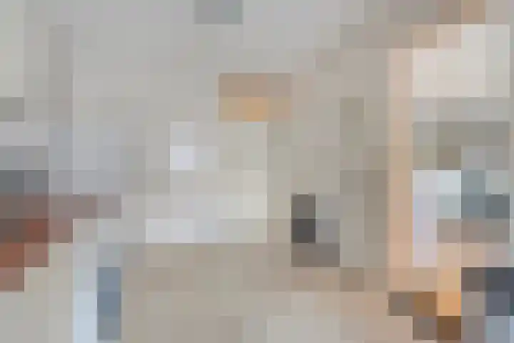 Smetanahof 12 Dedemsvaart thumbnail 20