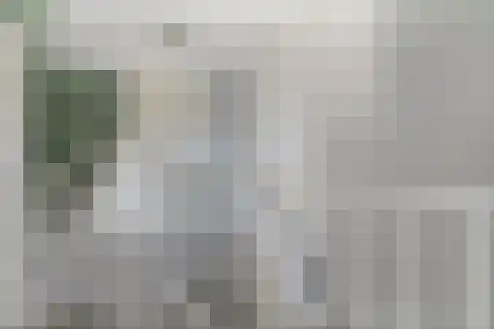 Smetanahof 12 Dedemsvaart thumbnail 22