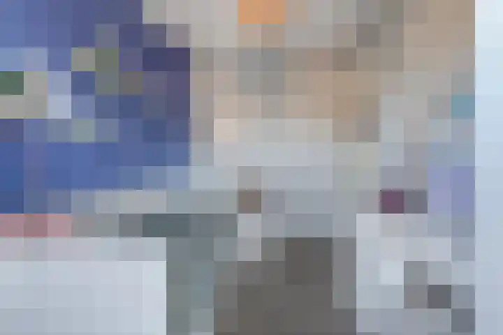 Smetanahof 12 Dedemsvaart thumbnail 25