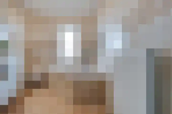 Smetanahof 12 Dedemsvaart thumbnail 29