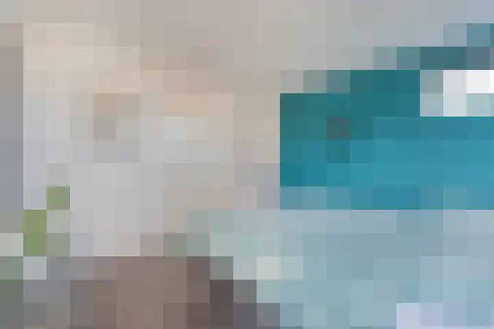 Smetanahof 12 Dedemsvaart thumbnail 32
