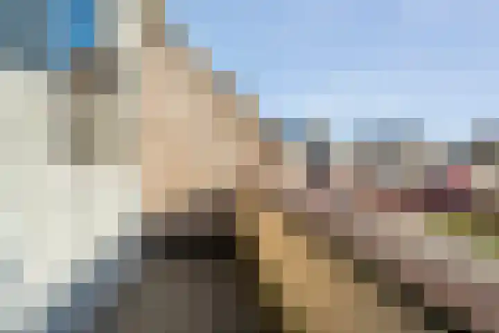 Smetanahof 12 Dedemsvaart thumbnail 34