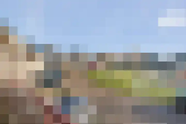 Smetanahof 12 Dedemsvaart thumbnail 35