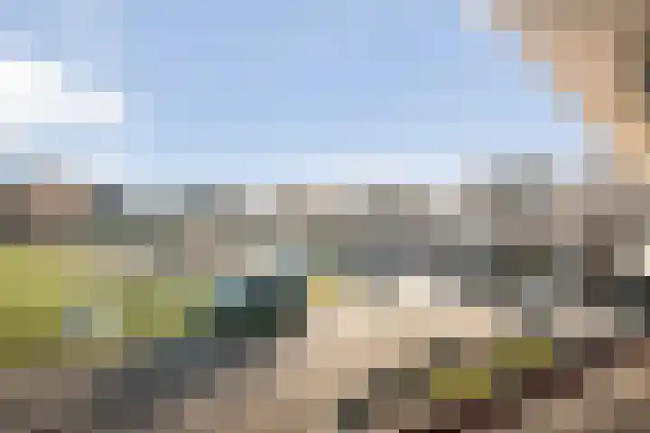Smetanahof 12 Dedemsvaart thumbnail 36