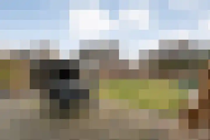 Smetanahof 12 Dedemsvaart thumbnail 44
