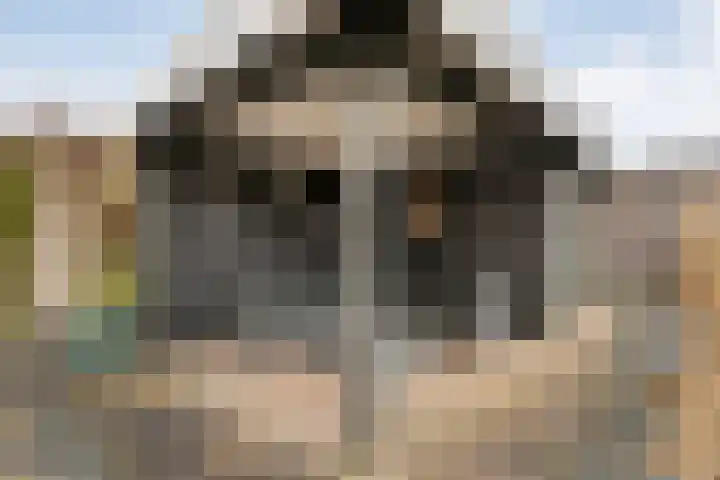 Smetanahof 12 Dedemsvaart thumbnail 48