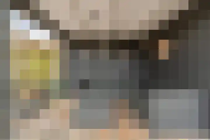 Smetanahof 12 Dedemsvaart thumbnail 49