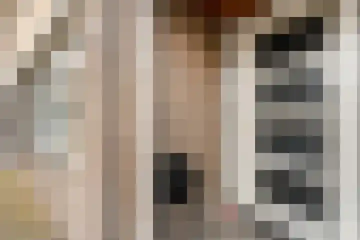 Smetanahof 12 Dedemsvaart thumbnail 5