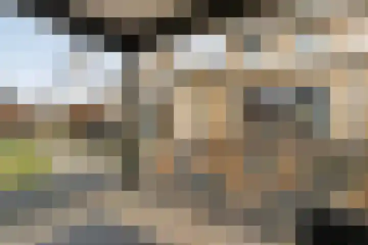 Smetanahof 12 Dedemsvaart thumbnail 50